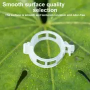 100/150/200/300/400/600Pcs Plant Support Clips Grape Vine Tomato Vine Clips