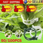 50/100x Plant Support Clips Tomato Veggie Greenhouse Garden Trellis Stake Ties V
