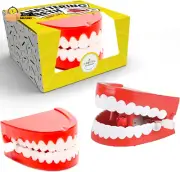 Wind up Teeth Chomping & Chattering Teeth Toys for Kids Bir