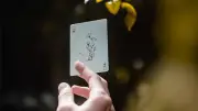 Whirl Playing Cards Deck by Jerome Luginbühl Brand New