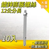 在飛比找momo購物網優惠-【大匠工具】12公分不鏽鋼膨脹螺絲 10入 壁虎螺絲 水泥牆