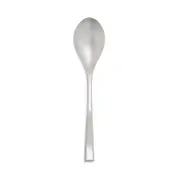 Couzon Steel/Nicola Serving Spoon