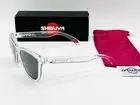 NEW OAKLEY FROGSKINS SHIBUYA JAPAN RELEASE CLEAR SUNGLASSES PRIZM GREY LIMITED