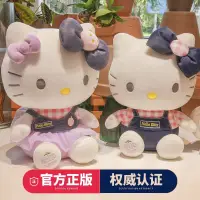 在飛比找蝦皮購物優惠-Hellokitty玩偶 凱蒂貓公仔 抱枕 布娃娃 毛絨玩具