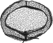 [Beavorty] Lace Cap for Tea Party Lightweight Summer Mesh Hat Lace Design Head Wrap Elegant Outdoor Headwear for Women Black
