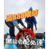 在飛比找蝦皮購物優惠-新鮮現撈 去刺虱目魚肚 滿888免運黑貓冷凍宅配 -婆婆媽媽