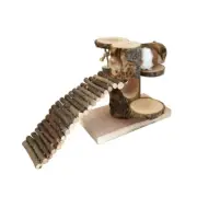 Hamster Climbing Ladder Toy Platform Providing Safe & Exciting Space for Hamster