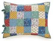 Pioneer Woman Quilt Shams Set Standard Size Floral Patch Fits 20"x26 " Pillow 2p