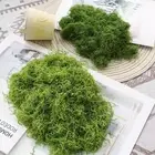 Artificial Plant Moss Plastic Flower Garden Micro Landscape Home Decor DIY 100g