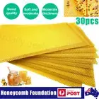 60X Honeycomb Foundation Bee Hive Wax Frames Waxing Beekeeping Equipment Sheet