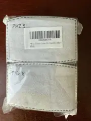 NEW 100 Pcs PM2.5 Filters Activated Carbon Filters Breathing Insert Sealed