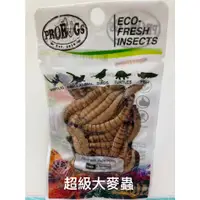 在飛比找蝦皮購物優惠-大特價 昆寶寵物原形食糧 蠶蛹 (美國版)  蜜袋鼯 爬蟲 