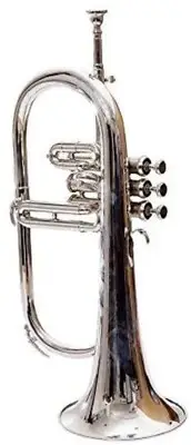 3 Valve Flugelhorn Nickel Bb Pitch with including mouthpiece and hardcase