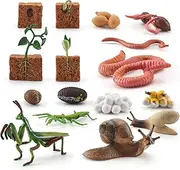 WONWONTOYS Farm Animals Figurines Life Growth Cycle of Plants Earthworms Mantises Snails, Plastic Food Chain Animal Figures Toy Kit Educational School Project for Kids