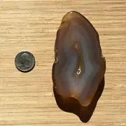 Agate Geode Rock Slice Polished End Cut Stone Brown Banded Crystal 4.25 Inches