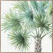 Date Palm II Canvas Art Print