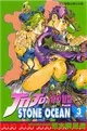 JOJO的奇妙冒險STONE OCEAN（3） (二手書)