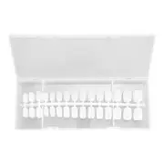 Women's Frosted Short Round Fake Nails Kit Clear 1 Set