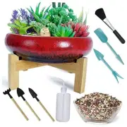Large Succulent Pots with Drainage & Stand, 10 Red With Mix Lava Rock Pebbles