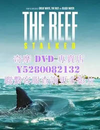 在飛比找Yahoo!奇摩拍賣優惠-DVD 影片 專賣 電影 暗礁狂鯊/The Reef: St