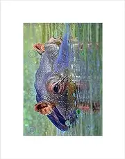 [Wee Blue Coo] Hippo Hippopotamus Eyes Close Up Submerged Wall Art Print