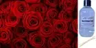 ROSE ABSOLUTE - Reed Diffuser Refill