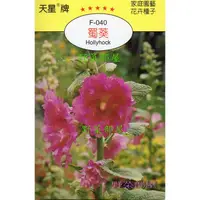 在飛比找蝦皮購物優惠-【萌田種子~花卉種子】Y02 蜀葵Hollyhock~穗耕種