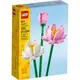 樂高積木LEGO《LT 40647》202401 LEL Flowers系列-蓮花Lotus Flowers