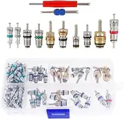 R134A R12 Valve Core Quick Remover Installer, AC Pressure Valve Core Remover Tools Kit for Air Conditioner System