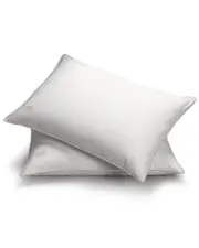 Pillow Gal White Goose Down Soft Density Stomach Sleeper Pillow with 100% Certified RDS Down, and Removable Pillow Protector, Se