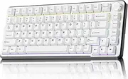 EWEADN GS75 Wireless Mechanical Keyboard ASMR, 75% Gaming Keyboard Gasket Hot Swappable Custom Keyboards with RGB, Knob, PBT Keycaps BT5.0/2.4G/USB-C Creamy Keyboards White