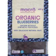 Macro Organic Frozen Blueberries 450g