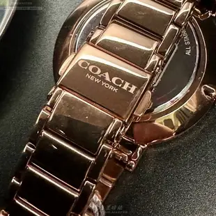 COACH手錶,編號CH00202,36mm玫瑰金圓形精鋼錶殼,白色中二針顯示, 山茶花錶面,玫瑰金色精鋼錶帶款,山茶花經典款