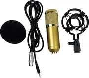 CIMAXIC Bm Capacitor Studio Microphone Double Layer Mesh Design Gold Plated XLR Connector for Conference Vocal Recording Karaoke High Sensitivity Low Noise Output Golden
