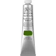 Winsor & Newton 200ml Professional Acrylic Colour Paint Permanent Sap Green S3