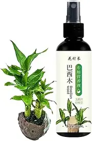 Brazilian Wood Indoor Plant Fertilizer, 100ml Liquid Nutrient Solution, 1.38x4.92 Inch Hydroponic Formula, Special Plant Food, Enhances Growth, Ideal for Potted Plants, Lucky Wood