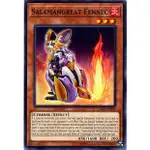 遊戲王卡 - TCG - SALAMANGREAT FENNEC / DANE-EN003'