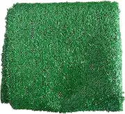 B Baosity Artificial Grass Rug Landscape Synthetic Turf Mat Faux Grass, 1x2m(3.28x6.56ft)