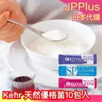 🔥部分現貨🔥日本製 KEFIR 天然優格菌10包入 PRO+ SP PLUS+ 自製優格 菌粉 菌種 希臘優格 手作