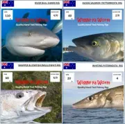 Hand Tied Shark rig , Snapper rig, Whiting rig & Aussie Salmon rig Variety 4Pack