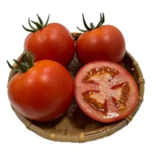 城禾農產🍃 大果牛番茄種子 大果牛蕃茄種子 牛蕃茄種子 牛番茄種子 大蕃茄種子 大番茄種子 番茄種子 蕃茄種子