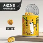 【豬飼料柑仔店】貓咪系列  多種口味  台南超夯伴手禮  交換禮物