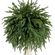 12 Pcs Norfolk Pine Branches 17" Artificial Pine Needles Branches Fake Greene...