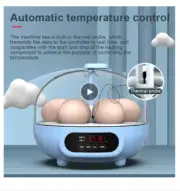 Automatic Intelligence 6Eggs Incubator Temperature Humidity Control Incubator Ch