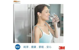 3M S003 淨水器專用濾心2年份/超值4入組(濾心型號:3US-F003-5)★3M 年終感恩回饋 ★