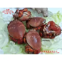 在飛比找蝦皮購物優惠-【海鮮7-11】野生母旭蟹   10隻/包   100-15