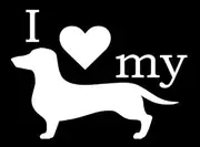 SixtyTwo24 I Love My Wiener Sticker- 5" Decal {White}- Wiener Dog Stickers, Funny Dachshund Stickers, Weenie Dog Stickers, Weiner Dog Stickers, Wiener Puppy Decal, labtop, Computer, Tablet Vinyl