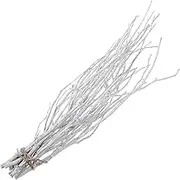 Homoyoyo 10Pcs White Curved Tree Branches for Vase Decoration Dried Twigs for Rustic Home Decor for Weddings Events Crafts and Floral Arrangements