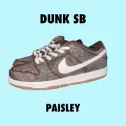 Size 10.5 - Nike SB Dunk Low Pro Paisley Brown