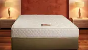 King Dreamstime Tight Top Mattress - Gently Firm